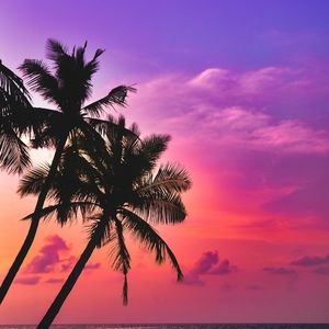 Meet your Posher, Bella